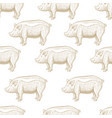 pig engraving seamless pattern vector image vector image