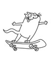 cat rides a skateboard vector image