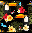 toucans and flowers vector image