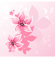 cherry blossom vector image