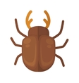 cockchafer icon of bright small insect vector image vector image