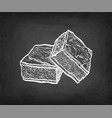 chalk sketch chocolate brownie vector image