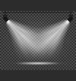spotlights with light beams on transparent vector image