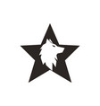 wolf star logo image vector image