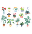 house plants home decor set vector image vector image