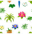 seamless pattern with tropical flowers exotic vector image