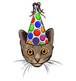 hand drawn cat in party hat heart vector image