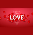 valentines day sale love message white color vector image