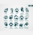 animals footprints vector image