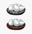 nest eggs farm product engraved hand drawn vector image