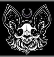 witch skull a dead bat decorated with stars vector image vector image