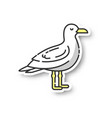 seagull patch vector image