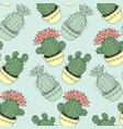 seamless pattern with cactus and succulents vector image vector image