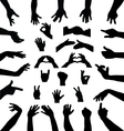 hands vector image