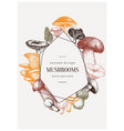 mushrooms trendy design autumn frame vector image vector image