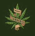 medical cannabis colorful detailed poster vector image