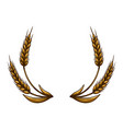 wheat spikelet in engraving style design element vector image