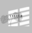 shadow overlay effect transparent window vector image