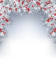 holiday background with silver fir twigs and holly vector image