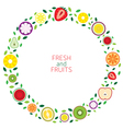 piece of fruits wreath vector image