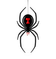 spider black widow red bug 3d vector image