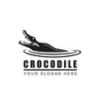 icon of crocodile vector image