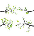 tree branch design vector image