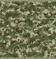 camouflage pattern background classic clothing vector image vector image