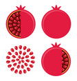 flat pomegranate vector image