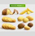 realistic potato set vector image