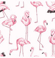 colorful seamless pattern with pink flamingo hand vector image