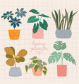 plants vector image vector image
