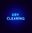 dry cleaning neon text vector image vector image