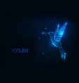 futuristic glowing low polygonal flying colibri vector image