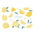 set of lemon fruit elements isolated on white vector image