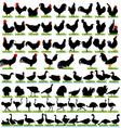 77 farm birds detailed silhouettes set vector image