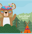 bear woodland animals vector image