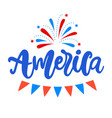 united states america independence day design vector image