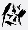 parrot and hummingbird silhouettes vector image