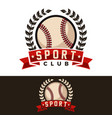 baseball graphic template vector image