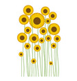 spring flower early flowers isolated vector image vector image