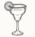 margarita cocktail with lime slice vector image