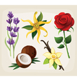 collection of colorful flowers vector image vector image