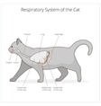 Respiratory system dog Royalty Free Vector Image