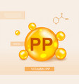 vitamin pp concept vector image vector image