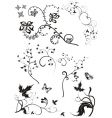 floral patterns vector image