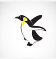 penguin design on white background polar animals vector image