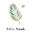 jungle tropical palm tree green leaf vector image