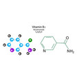 nicotinamide skeletal formula vitamin b3 molecule vector image