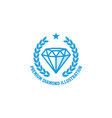 simple diamond emerald gem stone badge emblem vector image vector image